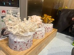-烹然四季椰子鸡火锅(团结湖总店)