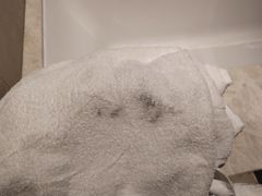 -新加坡瑞士史丹福酒店