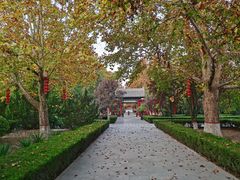 -大槐树寻根祭祖园