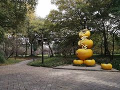 -西溪国家湿地公园