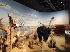 -陕西自然博物馆