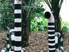 -华侨城湿地公园