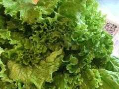 -新石器烤肉(张家港购物公园店)