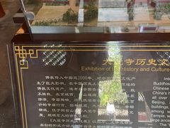 -大觉寺-停车场