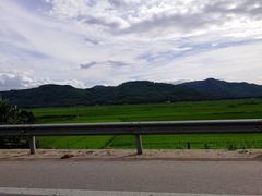 -Lam Vien Restaurant