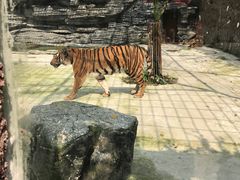 -贵州森林野生动物园