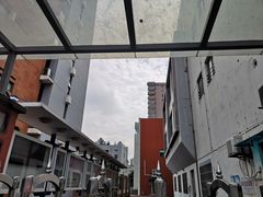 -上海财经大学附属北郊高级中学