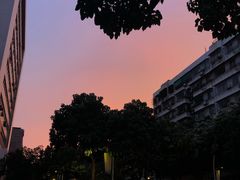 -汕头龙光喜来登酒店-采悦轩中餐厅