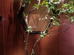 -苏淮景·苏闽融创菜·海鲜(原空港井河轩店)