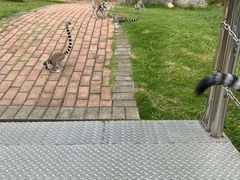 -泉州海丝野生动物世界