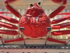 -蟹道乐(道顿堀本店)