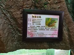 -上海昆虫博物馆