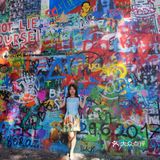 三两只洁白和平鸽悠哉地觅食