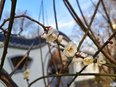 -洛阳市隋唐城遗址植物园