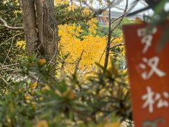 -四川大学(江安校区)