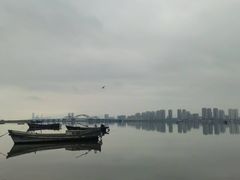 -养马岛旅游度假区