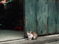 -水街农贸市场