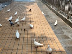 -泉城广场
