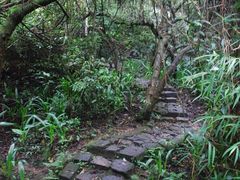 -水濂山森林公园