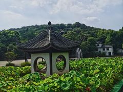 -宜兴张公洞