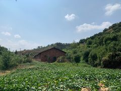 -四星望月(中联店)