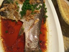 -五谷芳乳鸽王（大梅沙总店C区）(网红打卡店)