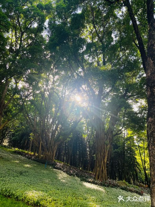 广州珠江公园图片