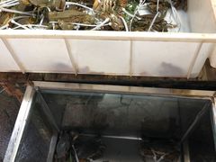 -都斛海鲜街