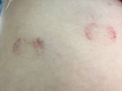 -上海交通大学医学院附属仁济医院(南院)