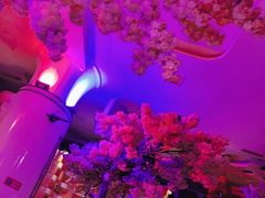 -巴特餐饮6加1音乐餐吧·新疆菜