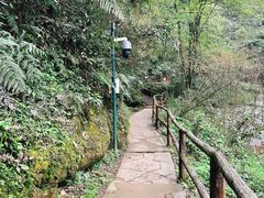 -碧峰峡风景区