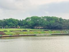-东莞植物园