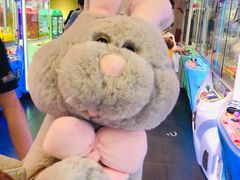 -PAWTOY爪e玩偶店(天兴罗斯福店)