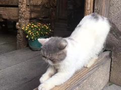 -老屋咖啡
