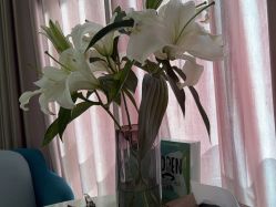 -奥本科技美肤·养生SPA