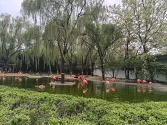 -石家庄市动物园