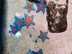 -沈阳海洋探索中心