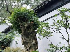 -拙政园