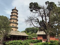 -晋祠公园