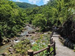 -广州白江湖森林公园