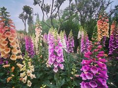 -成飞公园