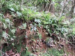 -梦姑塘文化公园