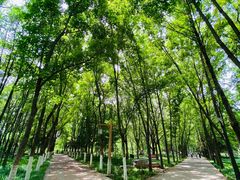 -洛阳市隋唐城遗址植物园