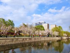 -海棠花溪(元大都城垣遗址公园)