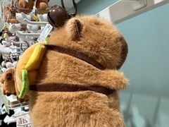 -畹町(住总万科店)