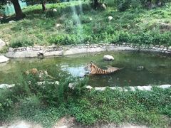 -西安秦岭野生动物园