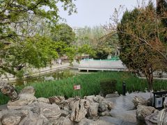 -莲湖公园