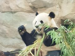-无锡动物园·太湖欢乐园