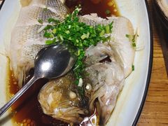 -新白鹿餐厅(百联中环店)