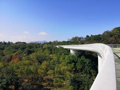 -飞凤山奥体公园